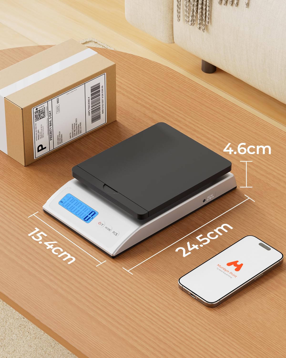 IPS01 Shipping Scale